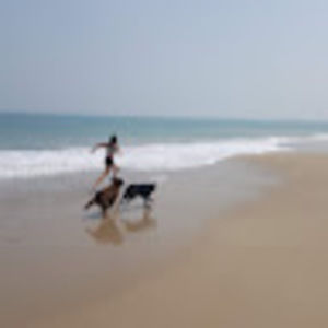 Meet your Posher, Ellen